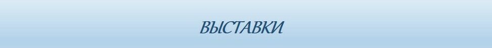 Описание изображения