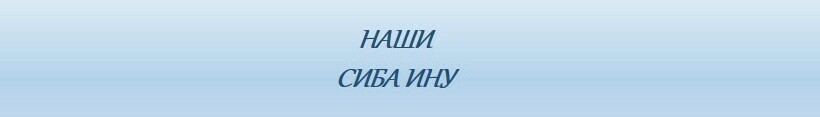 Описание изображения